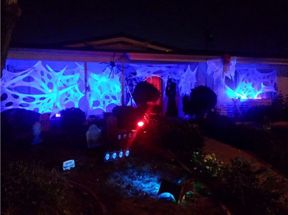 Stretchy Cobweb Netting 10 Stretchy Cobweb Netting - Image 10