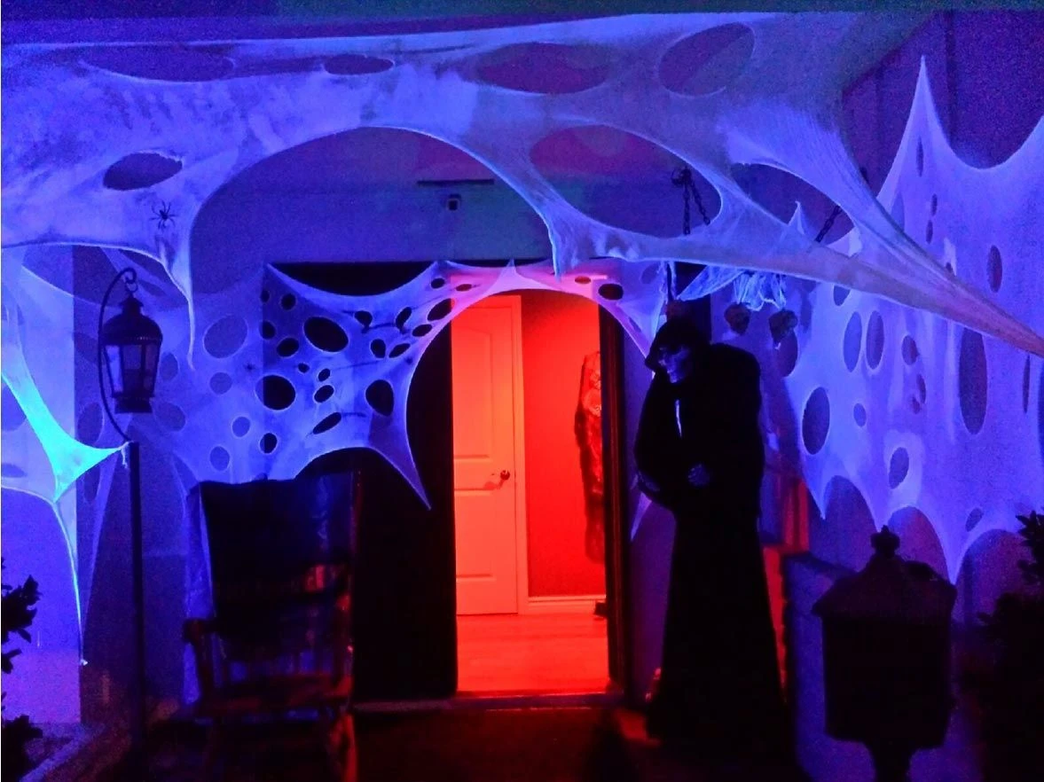 Stretchy Cobweb Netting 11 Stretchy Cobweb Netting - Image 11