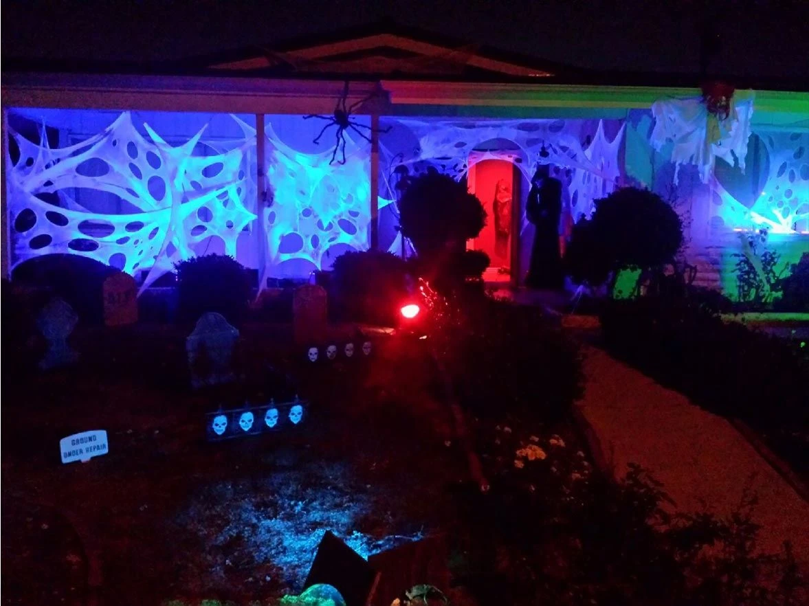 Stretchy Cobweb Netting 12 Stretchy Cobweb Netting - Image 12