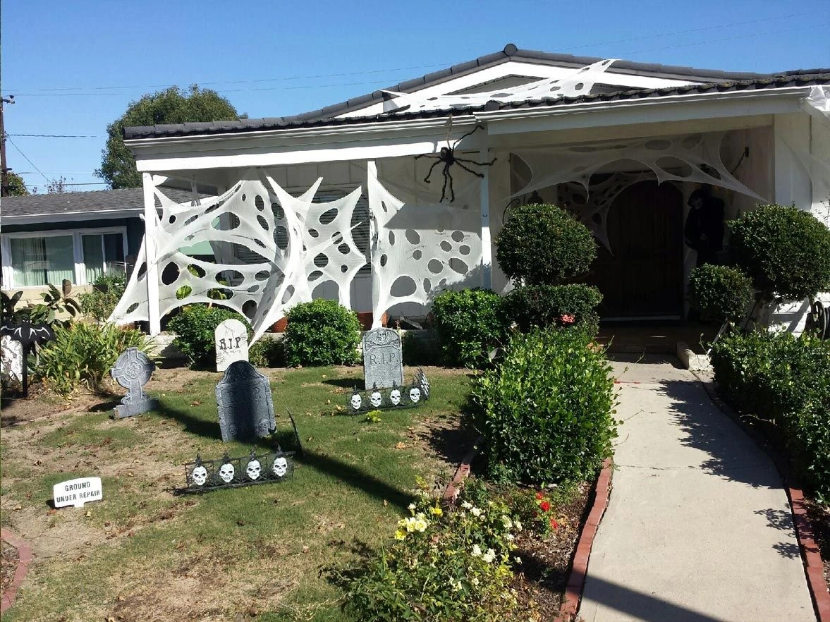 Stretchy Cobweb Netting 13 Stretchy Cobweb Netting - Image 13