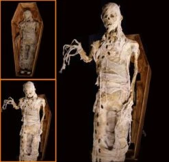 Coffin Lunger Mummy