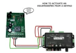 Keypad Input Trigger
