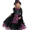 Girl's Fairy Tale Witch Deluxe Costume