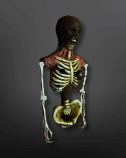 Deathcrow 6 Deathcrow -Halloween Cosplay Store e56279 0b403a247c524281b3b99ff013379c91 mv2