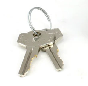 Two Additional Keys For Momentary Key Switch 1 Two Additional Keys For Momentary Key Switch