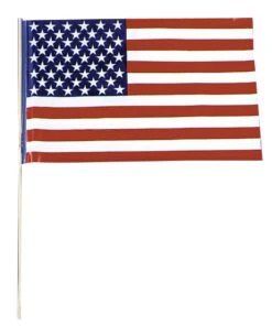 Flag Plastic USA - Pack Of 12