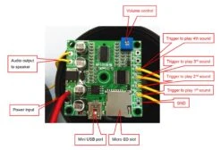 Scream Box To Go W/ Wireless Trigger