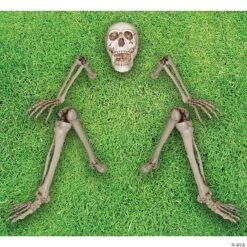 Ground Breaking Skeleton